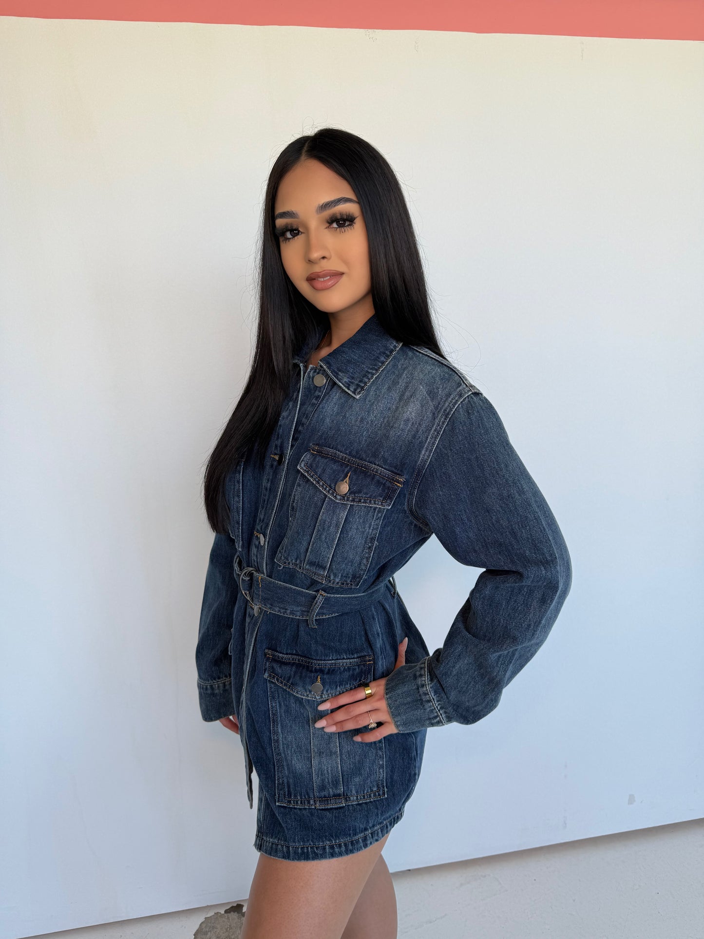 Alexa denim dress