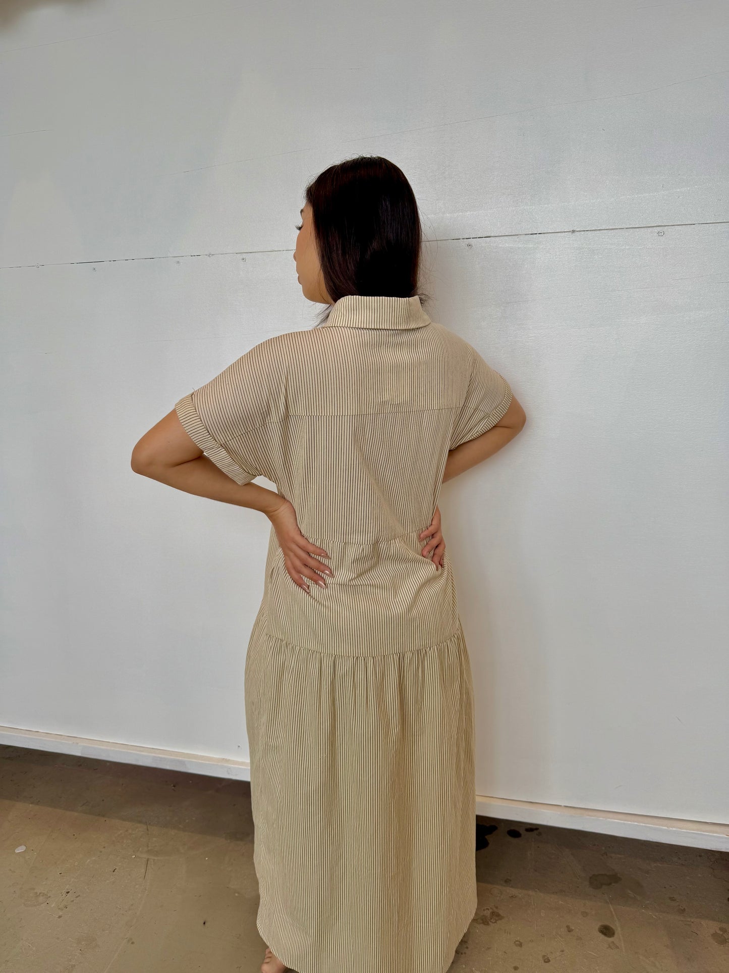 Asha choco dress