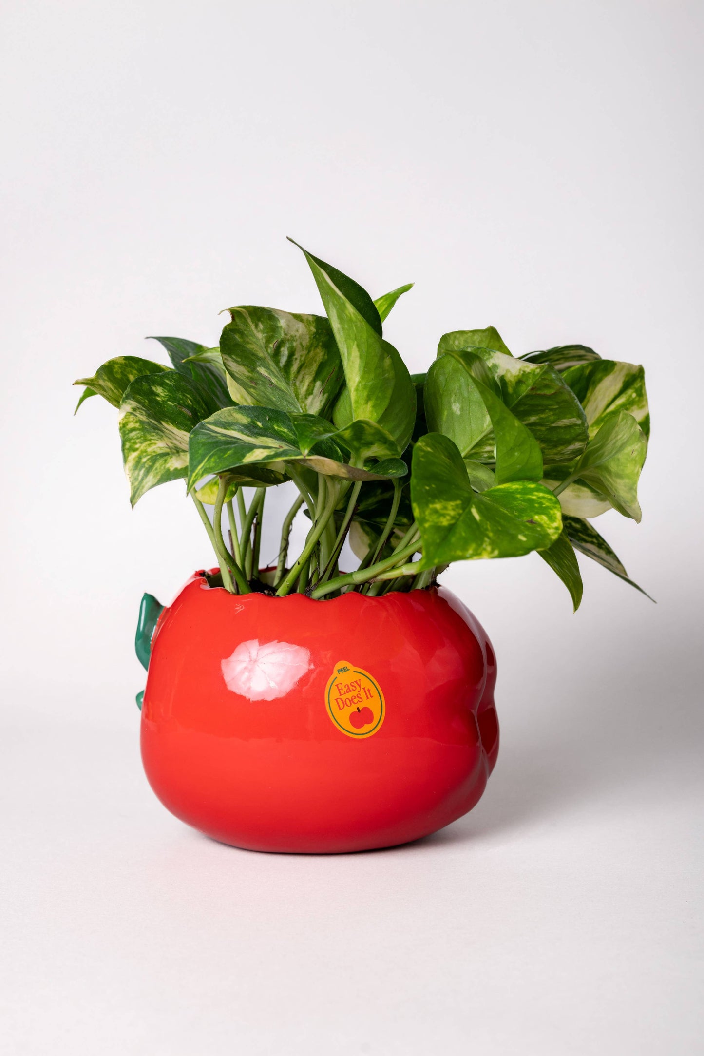 Ceramic Pencil Cup, Apple