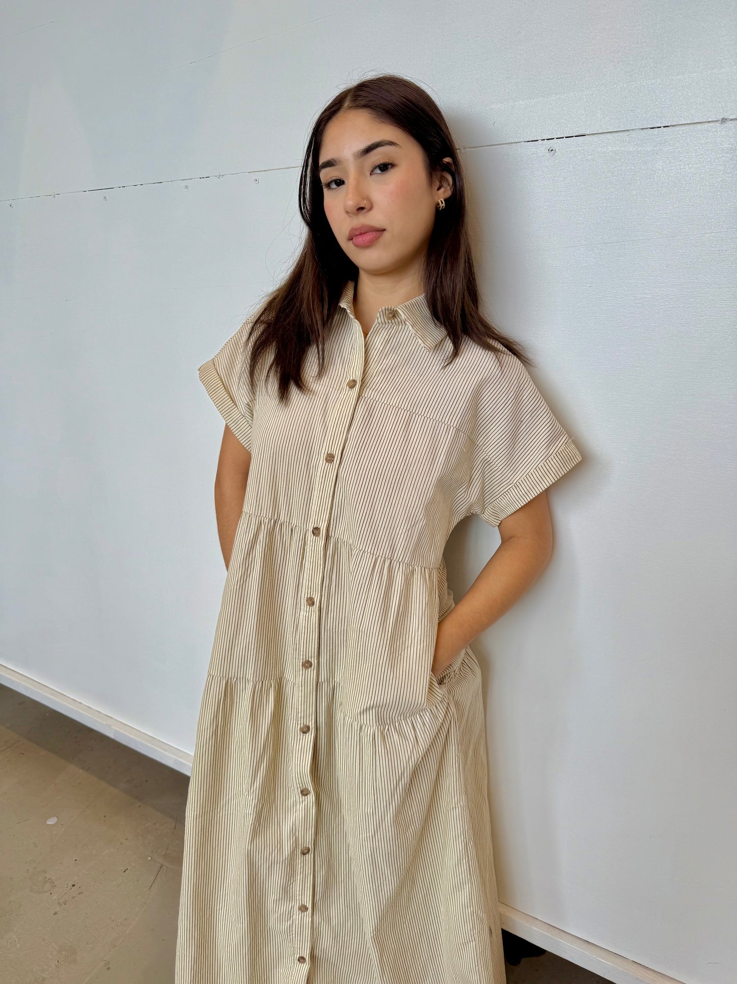 Asha choco dress
