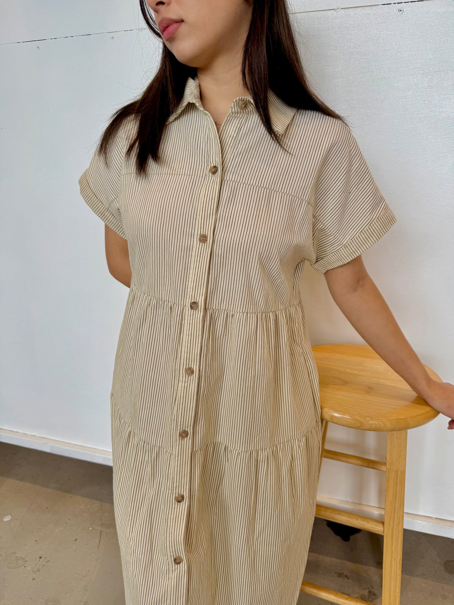 Asha choco dress