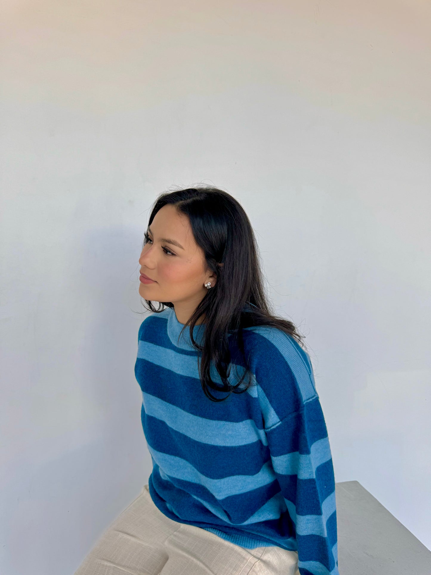 bluey sweater