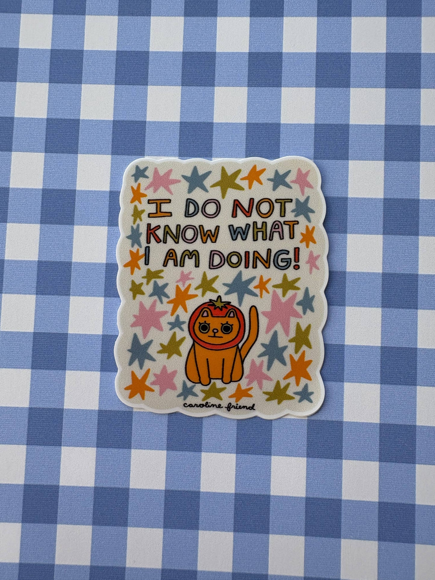 I Do Not Know What I Am Doing Sticker