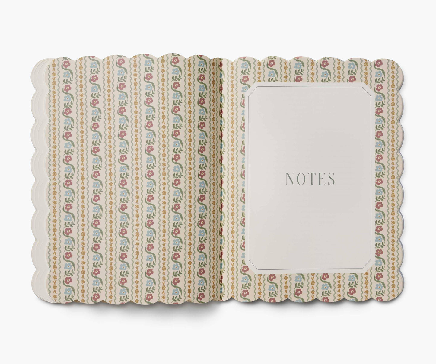 2026 Delphine 12-Month Academic Appointment Notebook