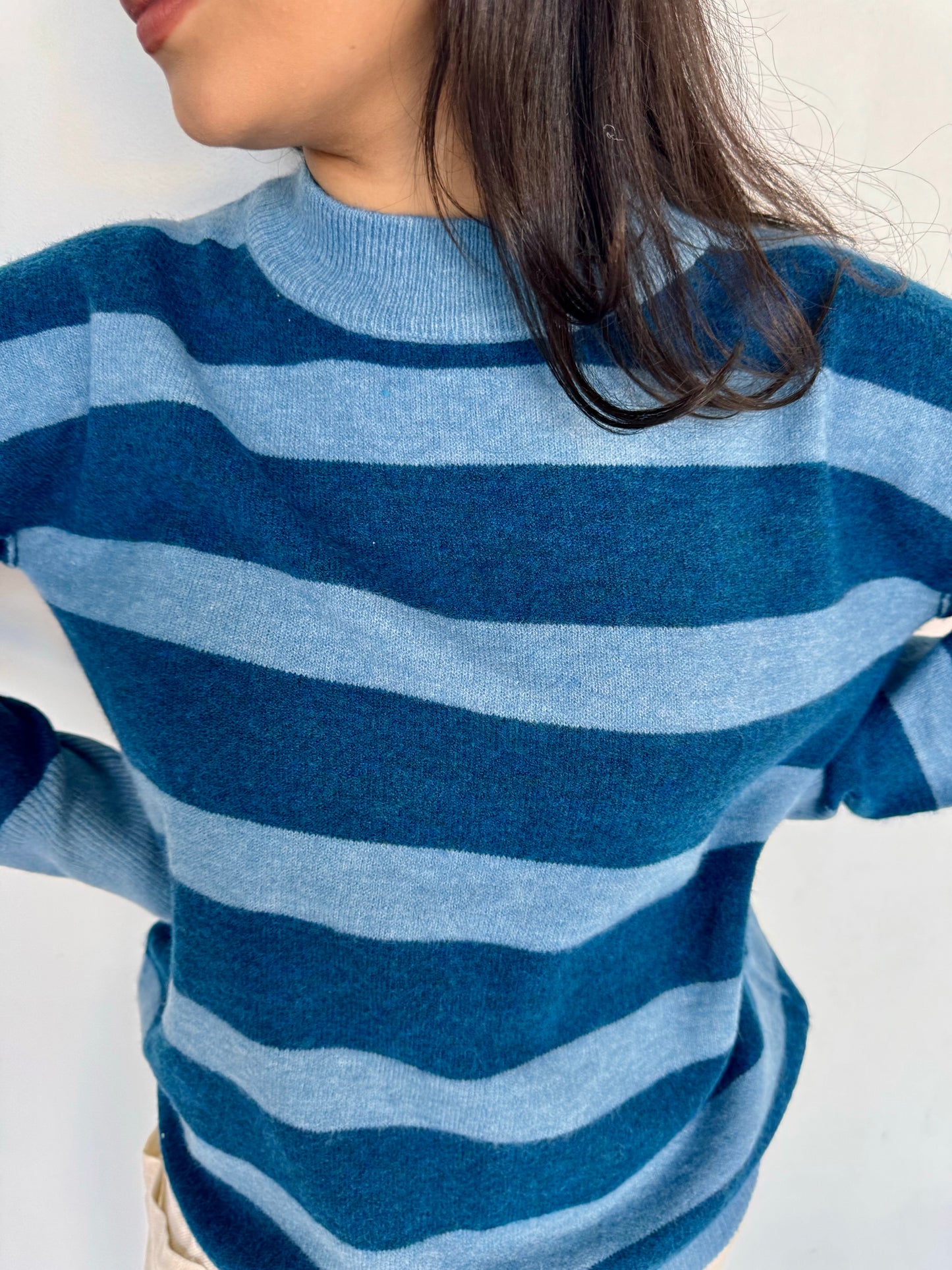 bluey sweater