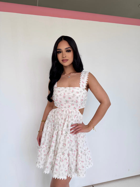 Cielo rosa cut out mini dress