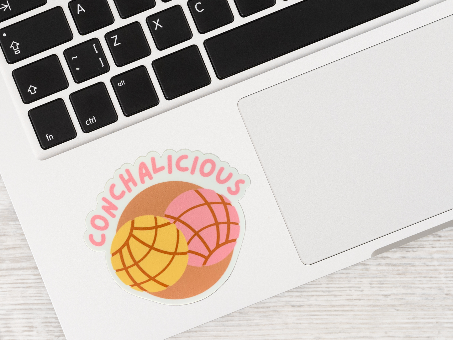 Conchalicious Sticker