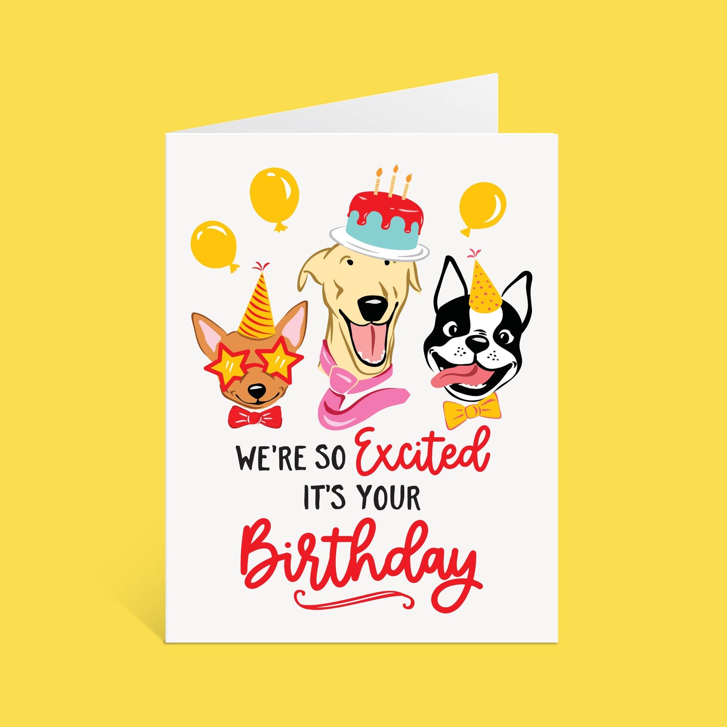 So Excited Birthday Card (A2)