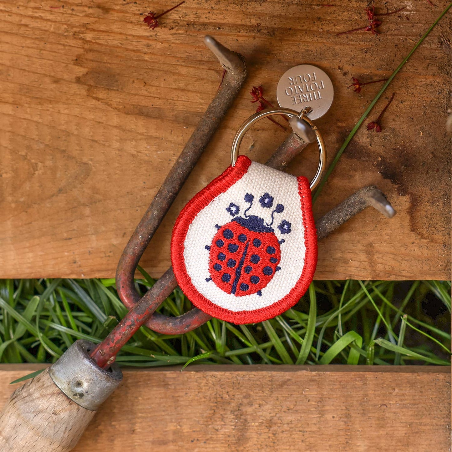 Key patch Ladybug