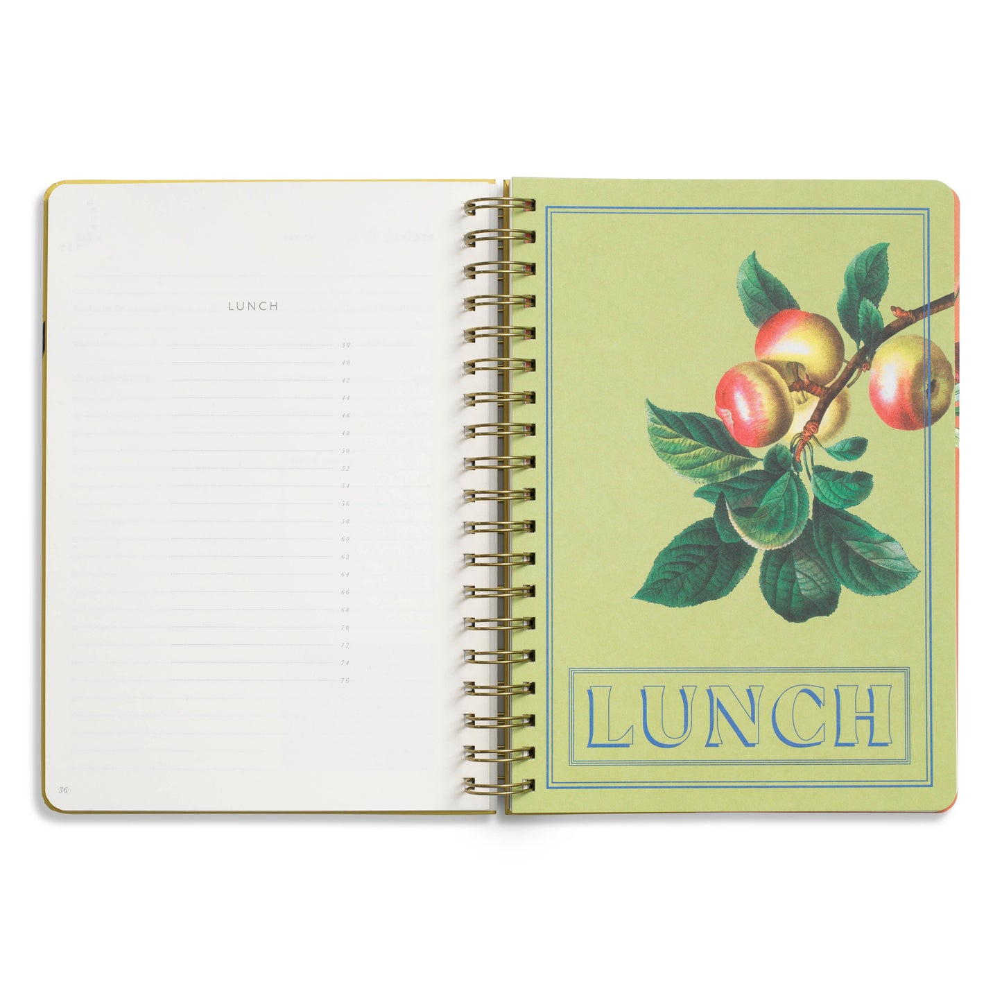 Guided Recipe Journal, Hardcover B5 Spiral -  Hanging Fruits